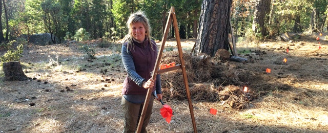 DIY Permaculture A-Frame Level