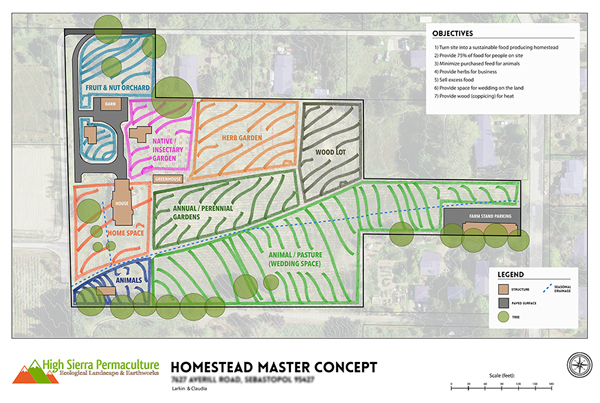 Homestead Layout & Surface Water Plan