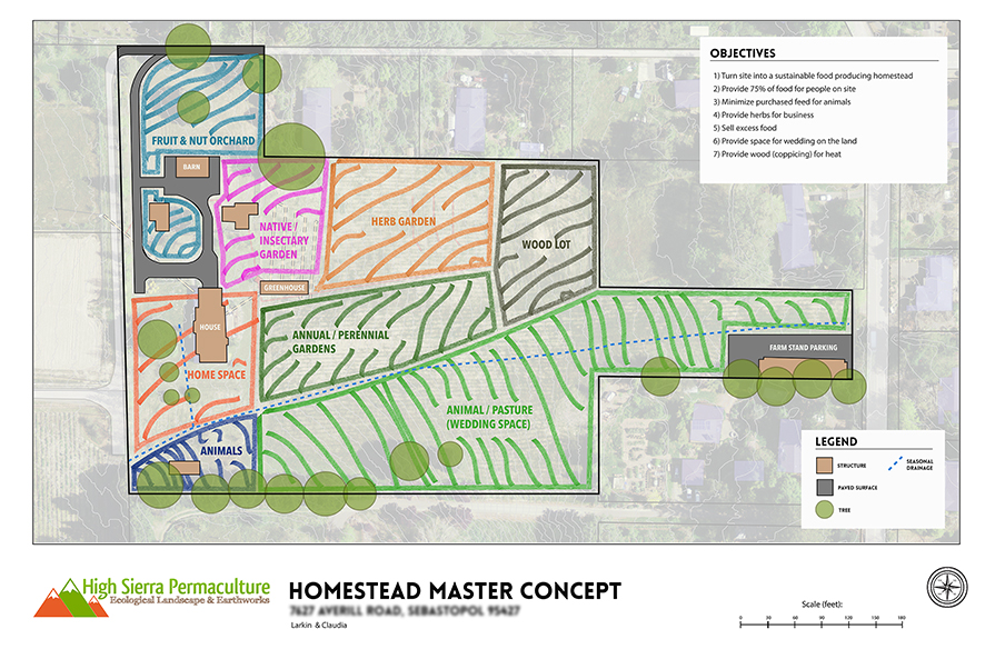 homestead site plan