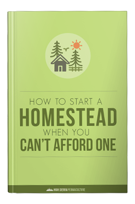 start homestead no money ebook free