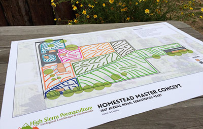 homestead planning