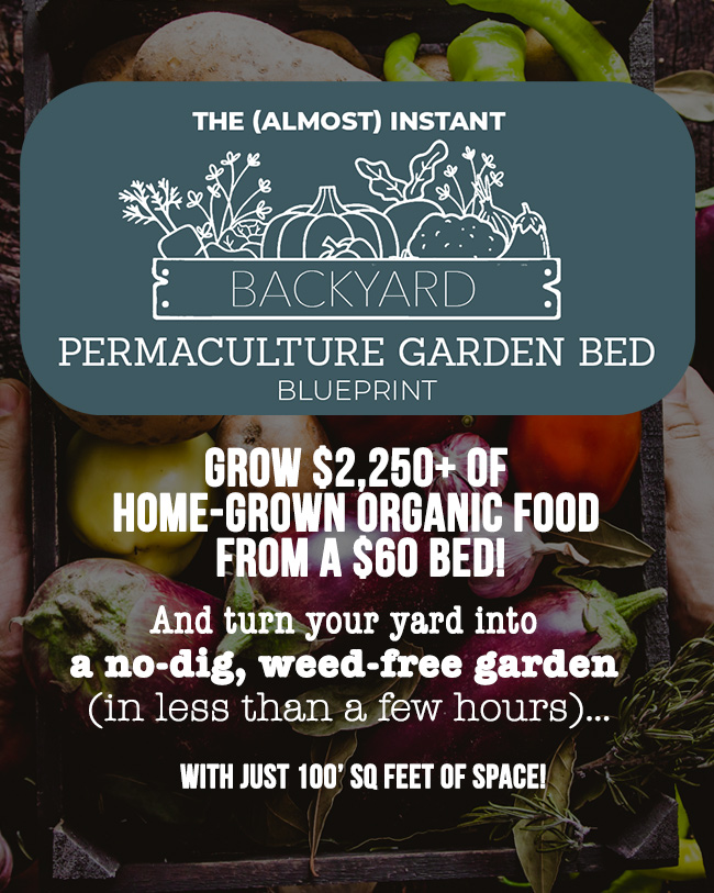 almost instant garden bed