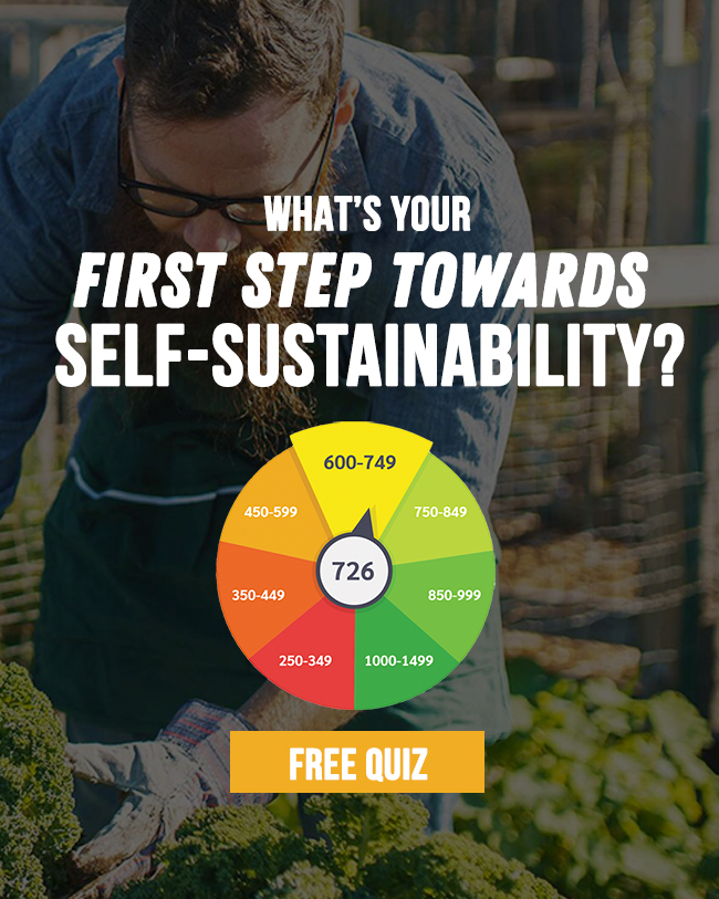 what's your first step to self-sustainability quiz